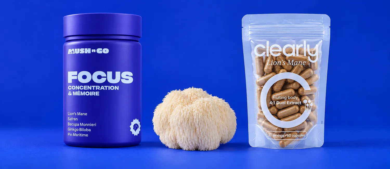 Focus od Mush n Go i Lion's Mane od Clearly obok owocnika soplówki jeżowatej